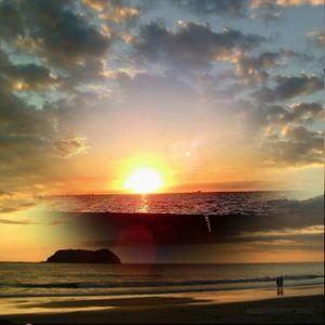 Meet your Posher, Bill